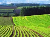 В Україні створили Фонд гарантування кредитів на купівлю землі