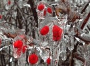 Європа пережила один з найсильніших квітневих морозів за останні 10 років