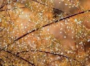 Сильно похолодає і заллє дощами: синоптики попередили про зміну погоди