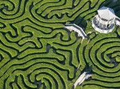 Ученые обнаружили "нейроны окрестности", необходимые для ориентирования в пространстве