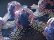 Ліки проти алкоголізму можуть вилікувати рак