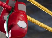 Известный боксер приговорен к 20 месяцам лишения свободы