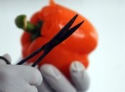 Польза и вред болгарского перца