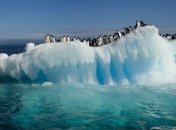 Ученые бьют тревогу: 2016 год - был самым теплым в истории наблюдений