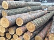 Гройсман оценил объем контрабанды леса в год