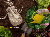 Овощи и фрукты не будут страдать