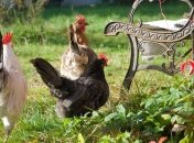 Какой праздник 14 ноября: народные приметы и запреты