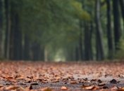 Україну накриють дощі і грози: де чекати різкого погіршення погоди