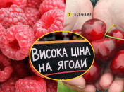 Стоимость на ягоды снова бьет рекорды