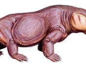 Ученые заявили, что перед динозаврами на Земле господствовали предки млекопитающих