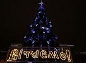 В Днепре открыли главную новогоднюю елку