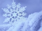 Шведские ученые обнаружили новый вид снега