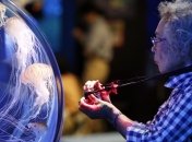 Жители Японии смогут сами выбирать, с какого возраста уходить на пенсию