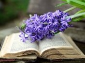 Ждем с нетерпением: захватывающие книги марта 2020 года