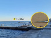 В Одессе рыбаки уловили рыбу сарган