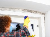 Простой и эффективный прием борьбы с плесенью