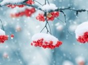 Прогноз погоды на 1 февраля: в Украине будет солнечно и сухо 