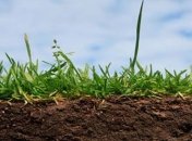 Павленко: Агросектор на оккупированных территориях уничтожен