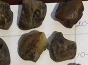 Деканоидзе посетила штаб по борьбе с незаконной добычей янтаря