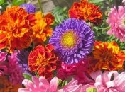 Прогноз погоды на 25 сентября: жара и дожди