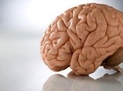 Ученые: Мозг злых и добрых людей отличается по размеру