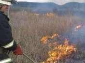 В Украине объявлен наивысший уровень пожарной опасности