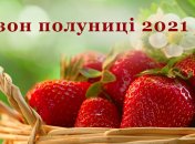 Сезон полуниці в самому розпалі: як вибирати, мити і зберігати весняну ягоду (інфографіка)