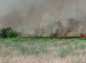 В Херсонской области горело 15 га степи 