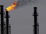 Румыния накажет нефтяников, которые загрязнили Дунай