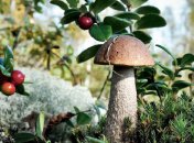 Це зовсім нескладно, якщо знати нюанси