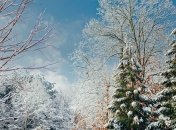 Какой завтра праздник: обычаи, традиции 12 декабря