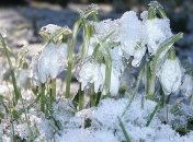 Какой завтра праздник: приметы и обряды на 17 января 