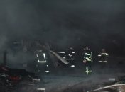 Сгорели десятки магазинов: спасатели показали новые кадры масштабного пожара в ТЦ  Харькова