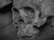 На одной из британских ферм пытаются раскрыть преступление времен железного века