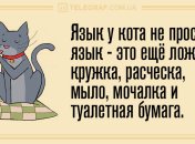 Позитив на весь вечер: уморительные анекдоты 26 декабря