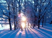 27 февраля. Приметы дня