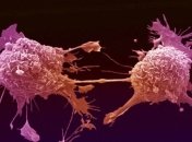 Японцы разработали технологию лечения рака нейтронным ускорителем