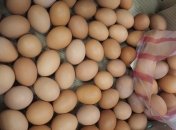 Яичный скандал: в Болгарии подозревают три птицефермы