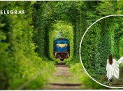 Тунель кохання на Рівненщині