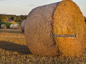 Разобрались, кого поздравляем с Днем ангела 7 сентября