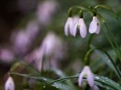 Погода на 28 лютого: Україну чекають температурні "гойдалки"