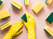 Губки имеют жесткую сторону