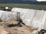 В США 13-летний освобожденный подросток признался в тренировке к джихаду