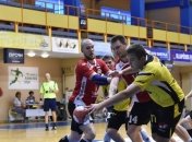 СМИ: формат Балтийской гандбольной лиги будет изменен 