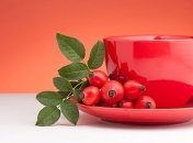 Чай из шиповника: полезные свойства и рецепты 