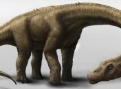 В Антарктиде были найдены останки динозавров