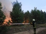 Документы сгорели, животные погибли, ехать не к кому: жуткая история пострадавших в пожарах на Луганщине