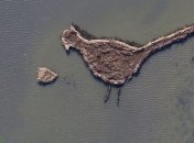 В Одесской области появился необычный остров-фазан