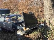 Пошел на обгон и не справился с управлением: в Закарпатской области в ДТП погиб пенсионер