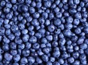 Черника и зеленый чай помогут похудеть